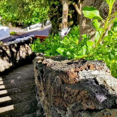 Casas Do Tareco Nyaraló Biscoitos