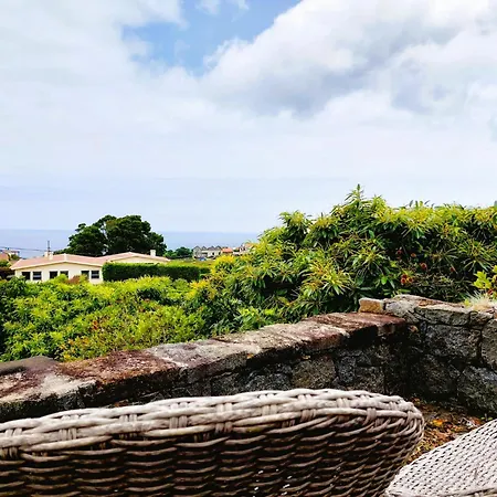 Casas Do Tareco Biscoitos