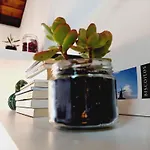 Moinho&casa Do Tareco Сasa de vacaciones Biscoitos (Terceira)