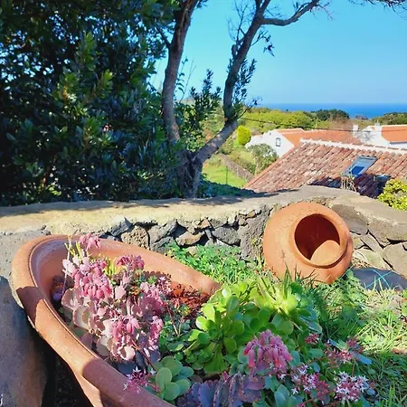 Casas Do Tareco * Biscoitos (Terceira)