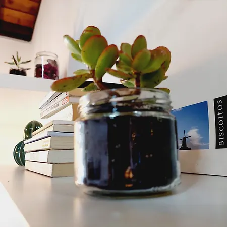 Casas Do Tareco Holiday home Biscoitos (Terceira)