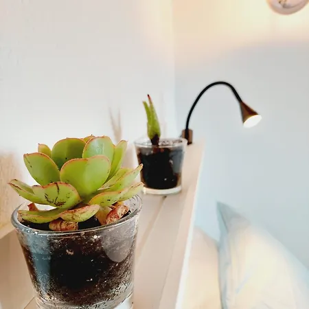 Casas Do Tareco Ferienhaus *