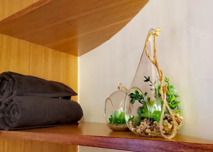 Moinho&casa Do Tareco