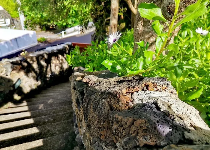 Moinho&casa Do Tareco 펜션 Biscoitos (Terceira)