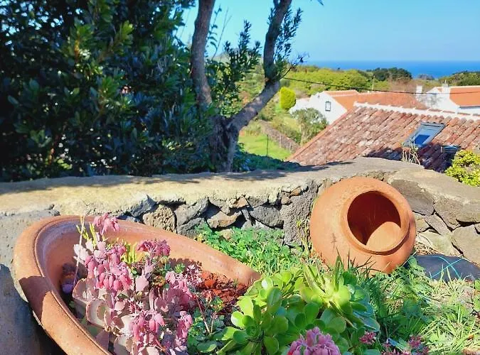 Moinho&casa Do Tareco * Biscoitos (Terceira)