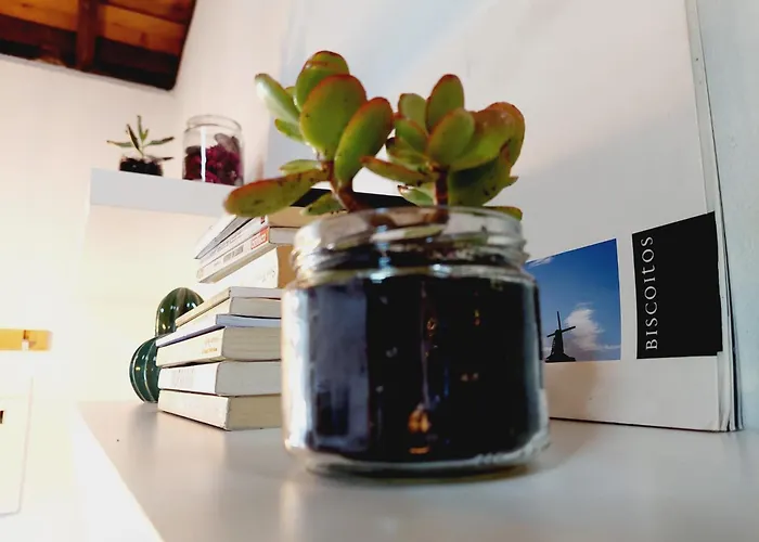 Moinho&casa Do Tareco Сasa de vacaciones Biscoitos (Terceira)