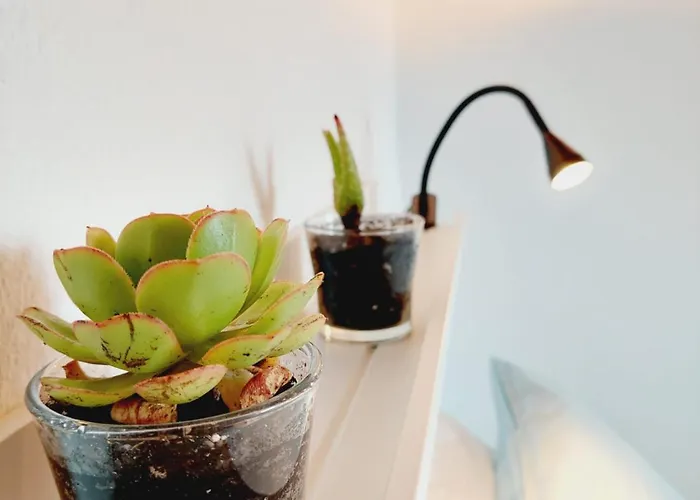 Moinho&casa Do Tareco 펜션 *