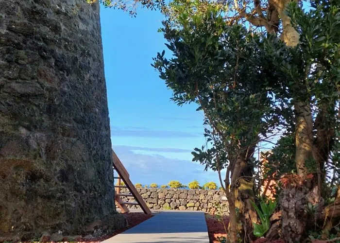 Moinho&casa Do Tareco