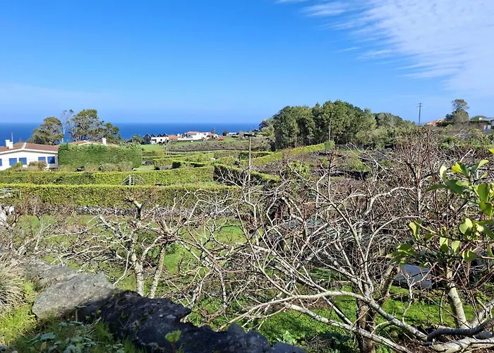 Moinho&casa Do Tareco 펜션